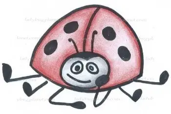 Lotti the Ladybug