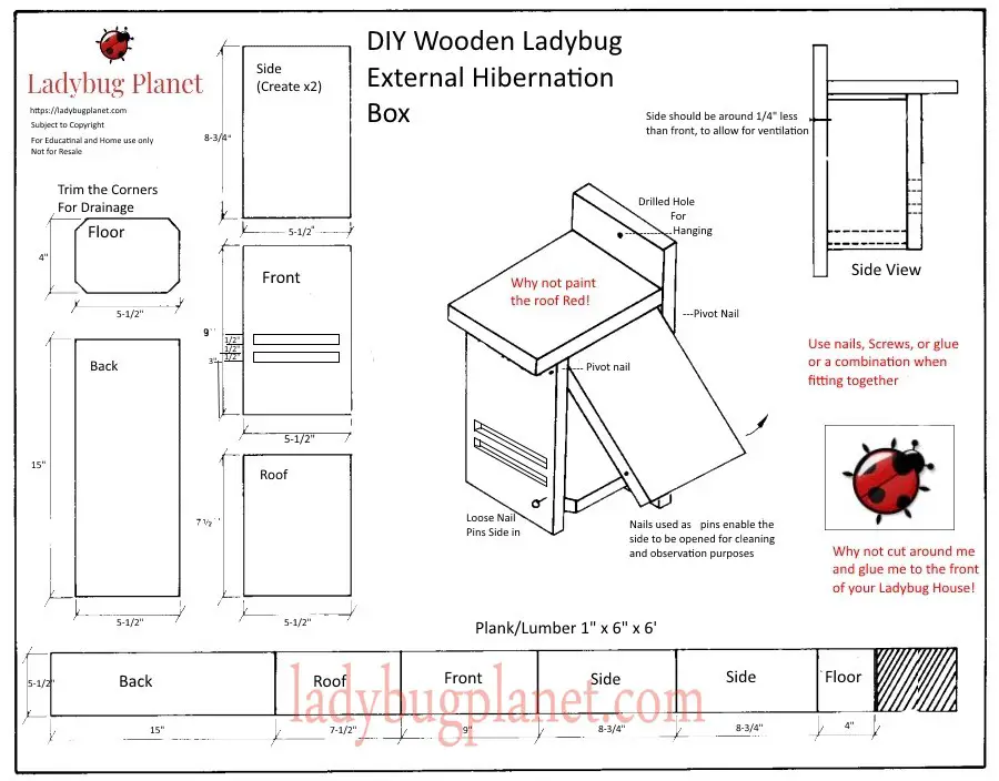 ladybug-resources-ladybug-planet