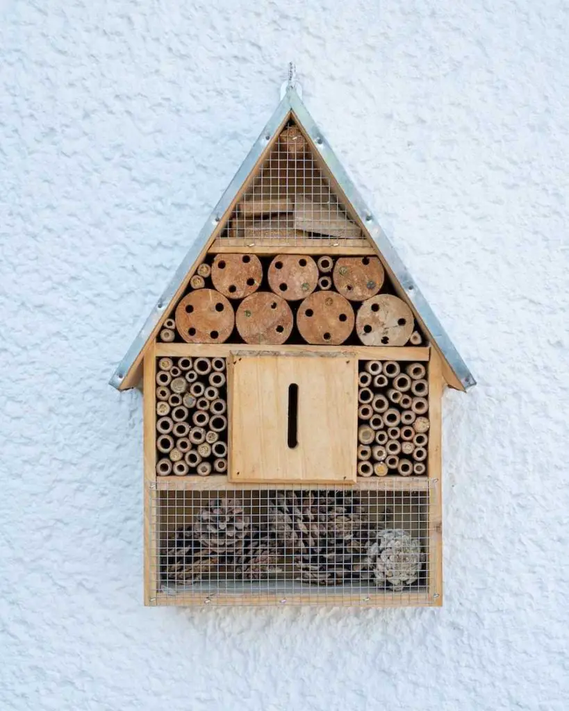 will ladybugs stay in my garden - build a ladybug house